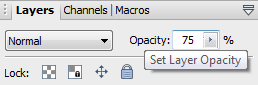 Layer Opacity