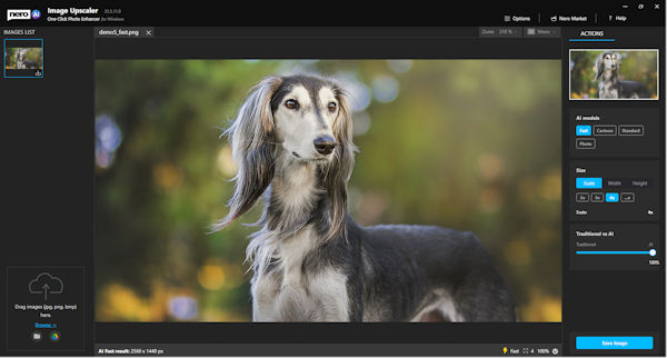 Nero Platinum Suite 2023 AI Image Upscaler